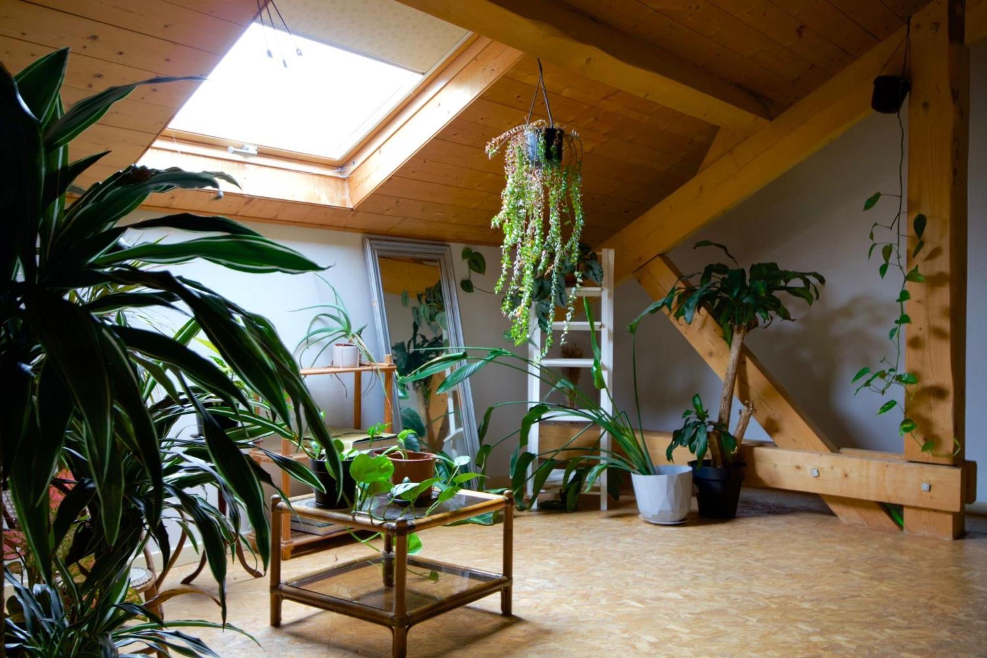 Loft Haut De Gamme Entre Verdure Et Ville Chaudefontaine  Exteriör bild